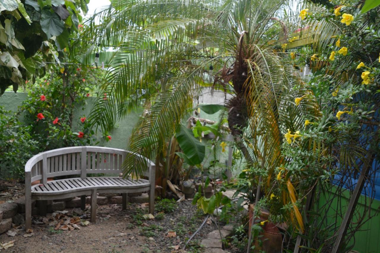 Palmetto Guesthouse Isla Culebra Luaran gambar